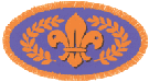 The Chief Scout Bronze Award
